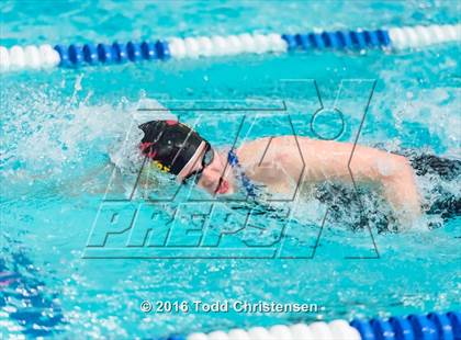 Thumbnail 3 in CHSAA 5A Swimming and Diving Championships photogallery.