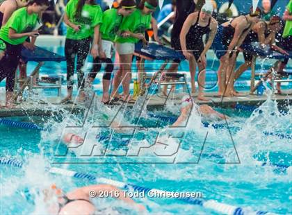 Thumbnail 1 in CHSAA 5A Swimming and Diving Championships photogallery.
