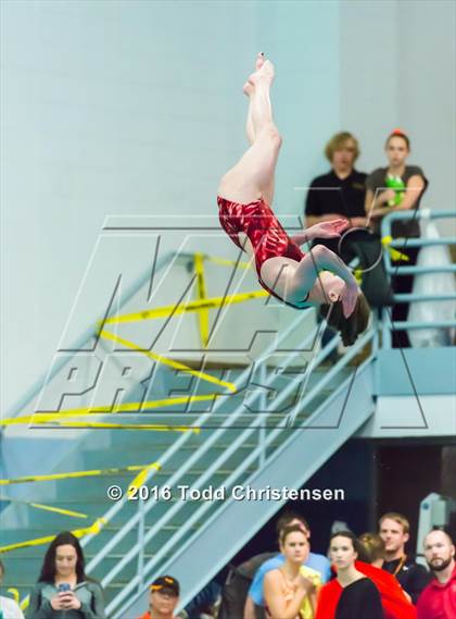Thumbnail 3 in CHSAA 5A Swimming and Diving Championships photogallery.