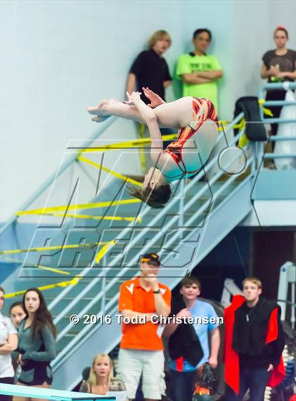 Thumbnail 1 in CHSAA 5A Swimming and Diving Championships photogallery.