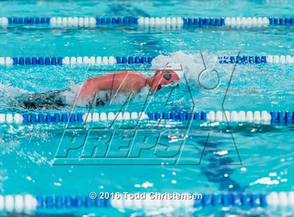 Thumbnail 2 in CHSAA 5A Swimming and Diving Championships photogallery.