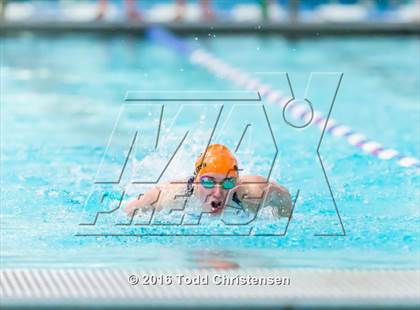 Thumbnail 1 in CHSAA 5A Swimming and Diving Championships photogallery.