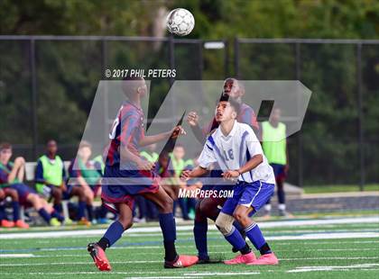 Thumbnail 2 in Bowie vs. Eleanor Roosevelt  photogallery.
