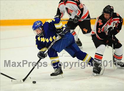 Thumbnail 1 in Newtown vs. Watertown/Pomperaug (SWC Semifinal) photogallery.