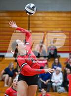 Photo from the gallery "Notre Dame @ South Webster"