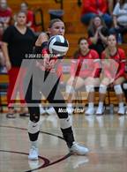 Photo from the gallery "Notre Dame @ South Webster"