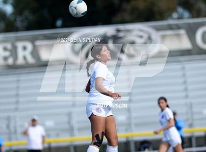Thumbnail 2 in Everett Alvarez vs. Soledad (CIF CCS D4 Finals) photogallery.