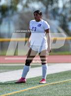 Photo from the gallery "Everett Alvarez vs. Soledad (CIF CCS D4 Finals)"