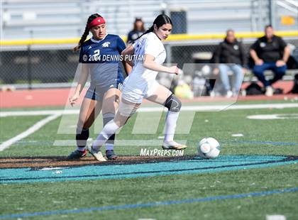Thumbnail 3 in Everett Alvarez vs. Soledad (CIF CCS D4 Finals) photogallery.
