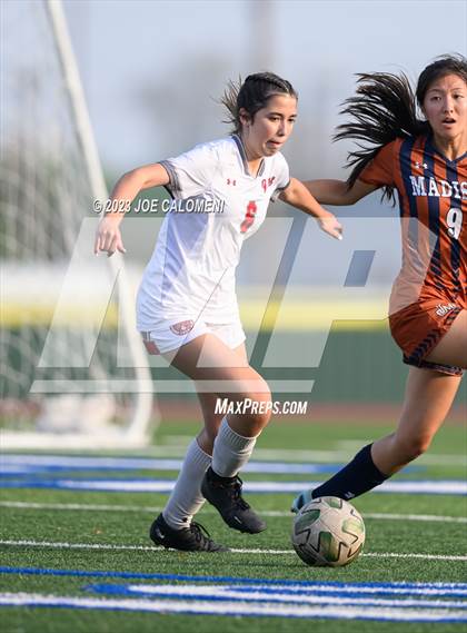 Thumbnail 2 in Lee vs Madison photogallery.