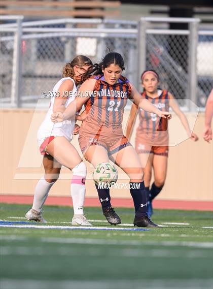 Thumbnail 2 in Lee vs Madison photogallery.
