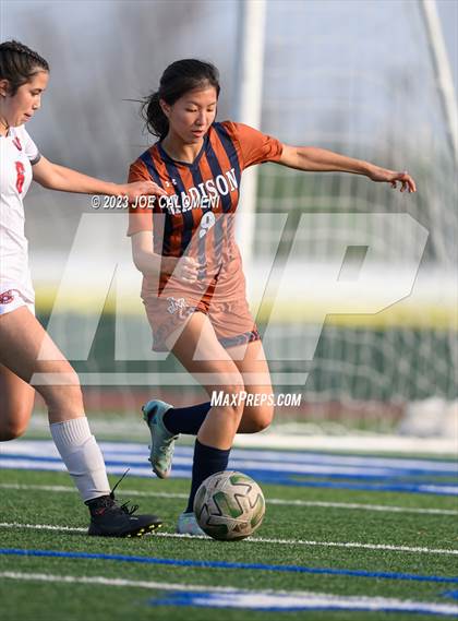 Thumbnail 3 in Lee vs Madison photogallery.