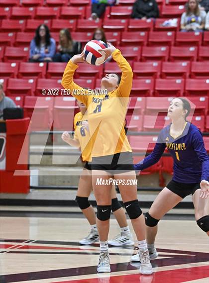 Thumbnail 1 in Hoxie vs. Mayflower (AAA 3A State Playoffs 1st round) photogallery.