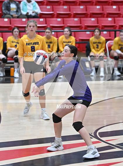 Thumbnail 3 in Hoxie vs. Mayflower (AAA 3A State Playoffs 1st round) photogallery.