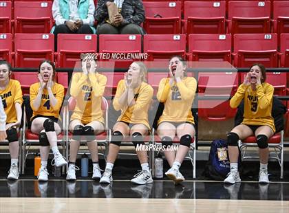 Thumbnail 1 in Hoxie vs. Mayflower (AAA 3A State Playoffs 1st round) photogallery.