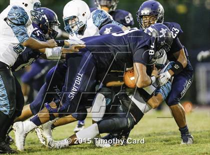 Thumbnail 1 in Coral Glades @ Taravella photogallery.