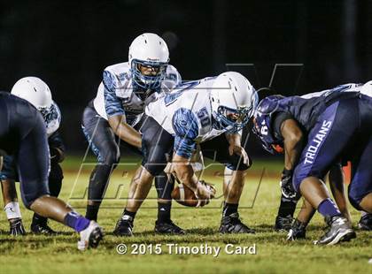 Thumbnail 1 in Coral Glades @ Taravella photogallery.