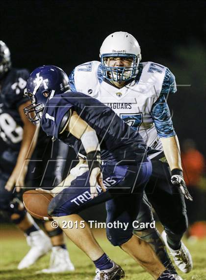 Thumbnail 2 in Coral Glades @ Taravella photogallery.
