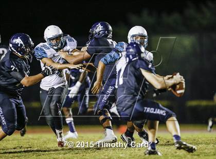 Thumbnail 1 in Coral Glades @ Taravella photogallery.