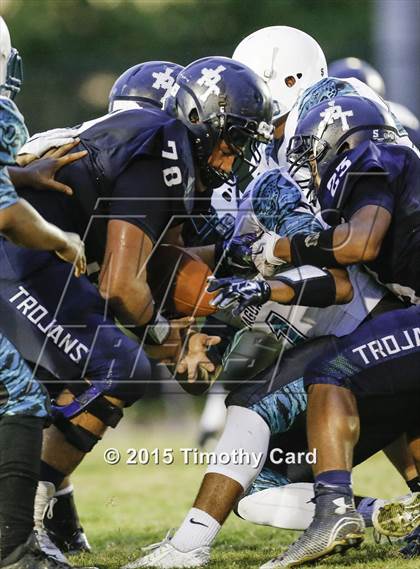 Thumbnail 3 in Coral Glades @ Taravella photogallery.