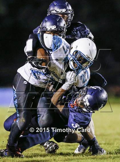Thumbnail 2 in Coral Glades @ Taravella photogallery.