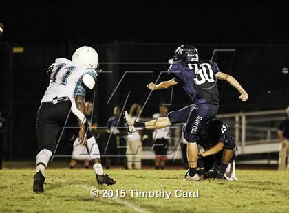 Thumbnail 1 in Coral Glades @ Taravella photogallery.