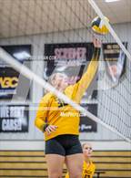 Photo from the gallery "Bergman @ Salem"