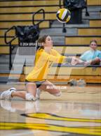 Photo from the gallery "Bergman @ Salem"