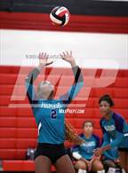 Photo from the gallery "Palisades @ South Mecklenburg"