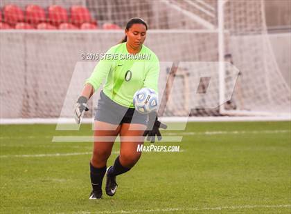 Thumbnail 2 in Juan Diego Catholic vs Logan (UHSAA 3A Final) photogallery.