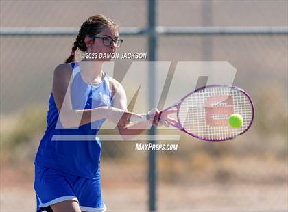 Thumbnail 2 in Moapa Valley @ Virgin Valley photogallery.