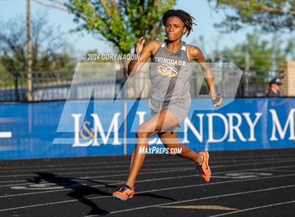 Thumbnail 1 in Terrier Relays photogallery.
