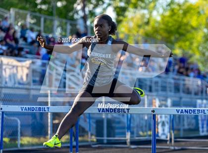 Thumbnail 1 in Terrier Relays photogallery.
