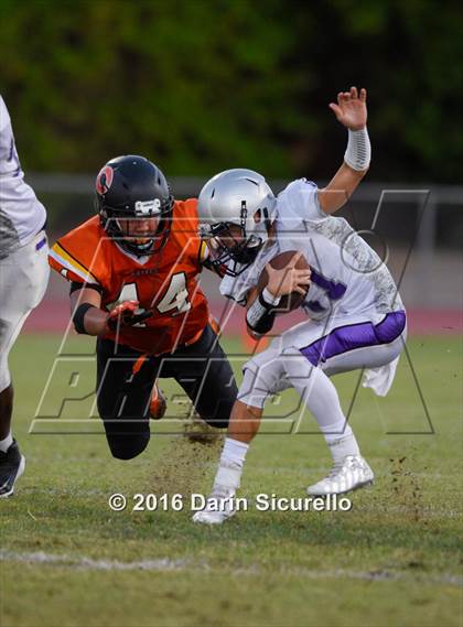 Thumbnail 3 in Cesar Chavez @ Corona del Sol photogallery.
