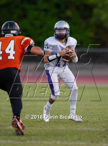 Thumbnail 1 in Cesar Chavez @ Corona del Sol photogallery.