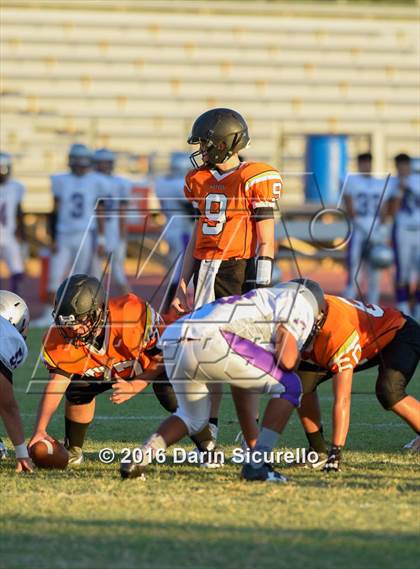Thumbnail 3 in Cesar Chavez @ Corona del Sol photogallery.