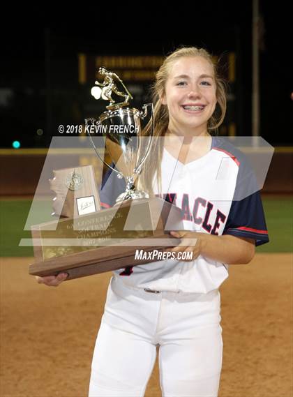 Thumbnail 2 in Pinnacle (AIA 6A Final Awards) photogallery.