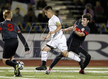 Thumbnail 3 in Marin Academy vs. Ygnacio Valley (CIF NCS D3 Final) photogallery.