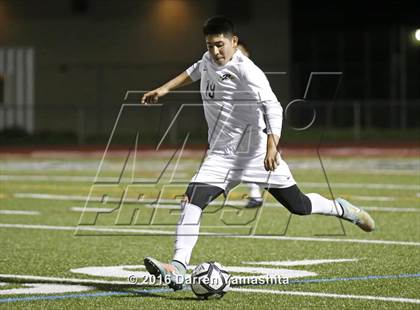 Thumbnail 1 in Marin Academy vs. Ygnacio Valley (CIF NCS D3 Final) photogallery.