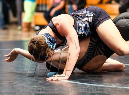 Thumbnail 3 in Monarch @ Ralston Valley photogallery.