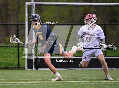 Thumbnail 1 in Haddam-Killingworth @ North Haven photogallery.