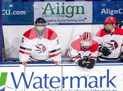 Thumbnail 2 in St. John's Prep vs. Winchester (MIAA Division1 North Final) photogallery.