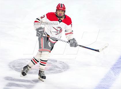 Thumbnail 3 in St. John's Prep vs. Winchester (MIAA Division1 North Final) photogallery.
