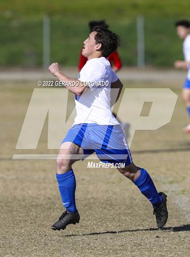 null - Photo 11