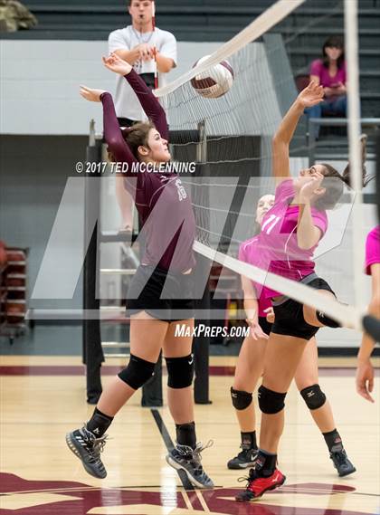 Thumbnail 3 in Searcy @ Perryville photogallery.