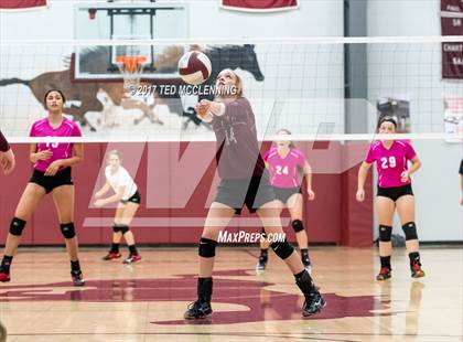 Thumbnail 1 in Searcy @ Perryville photogallery.
