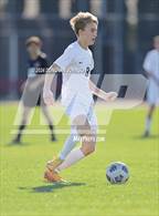 Photo from the gallery "Sonora @ Troy"