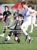 Photo from the gallery "Sonora @ Troy"