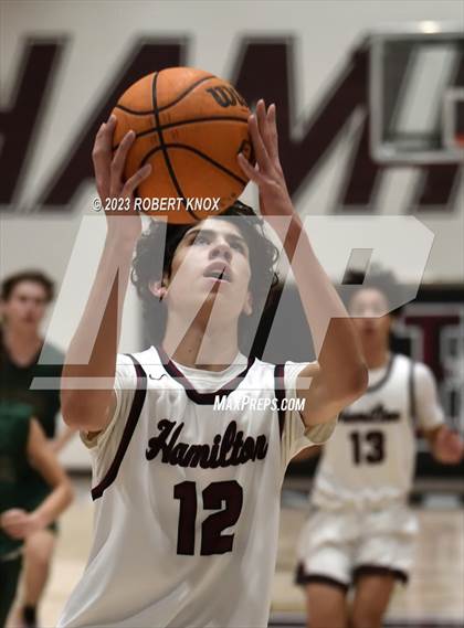 Thumbnail 3 in Basha @ Hamilton photogallery.