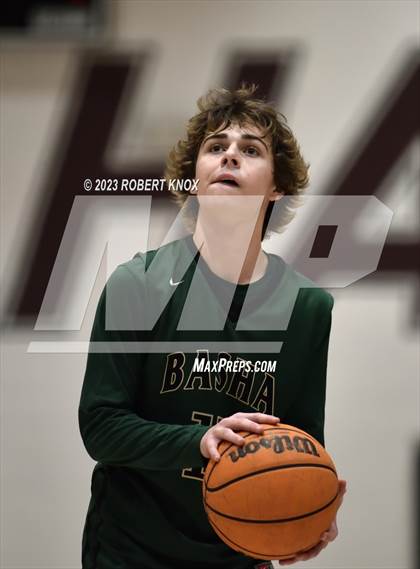 Thumbnail 1 in Basha @ Hamilton photogallery.
